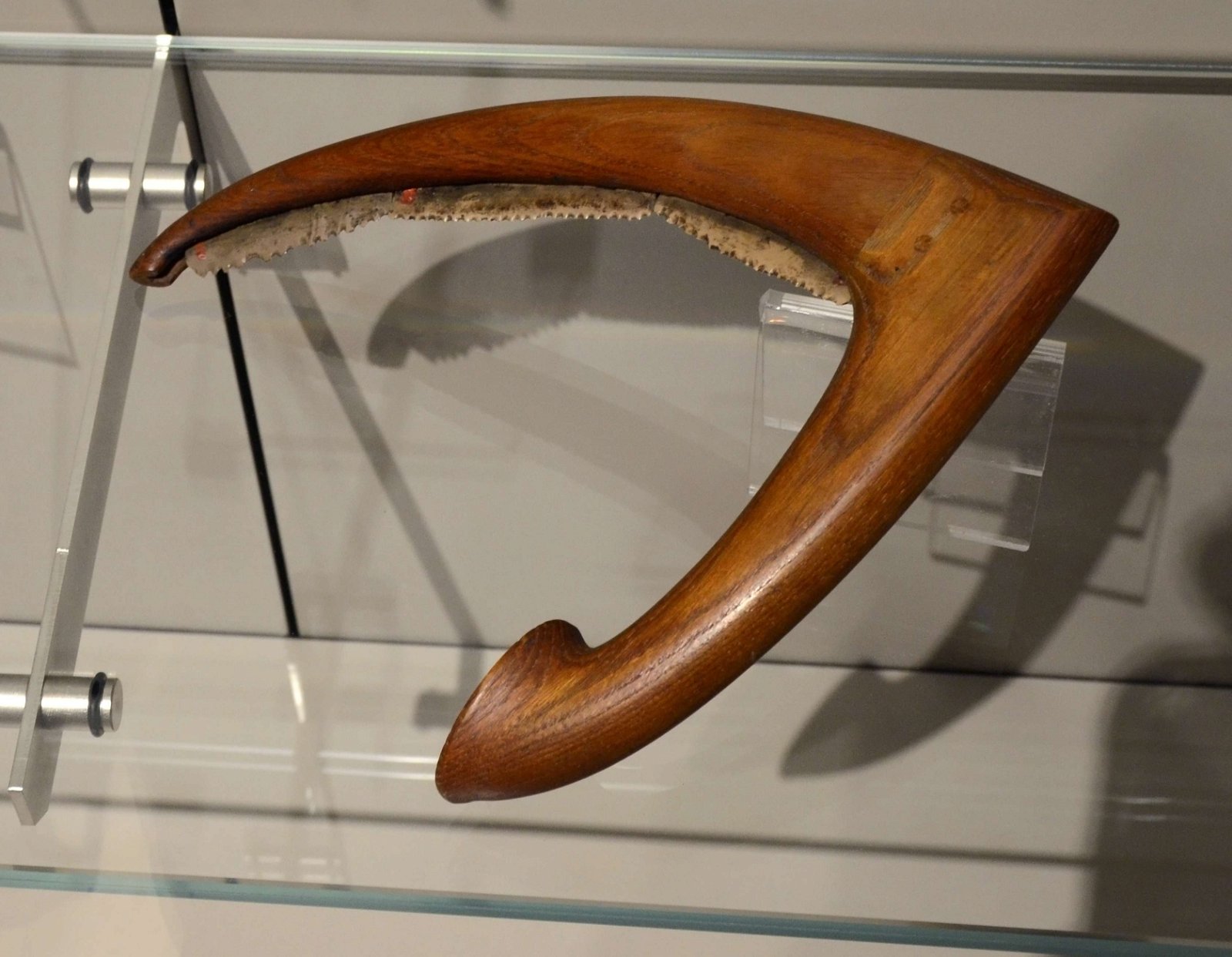 Egyptian Museum of Turin