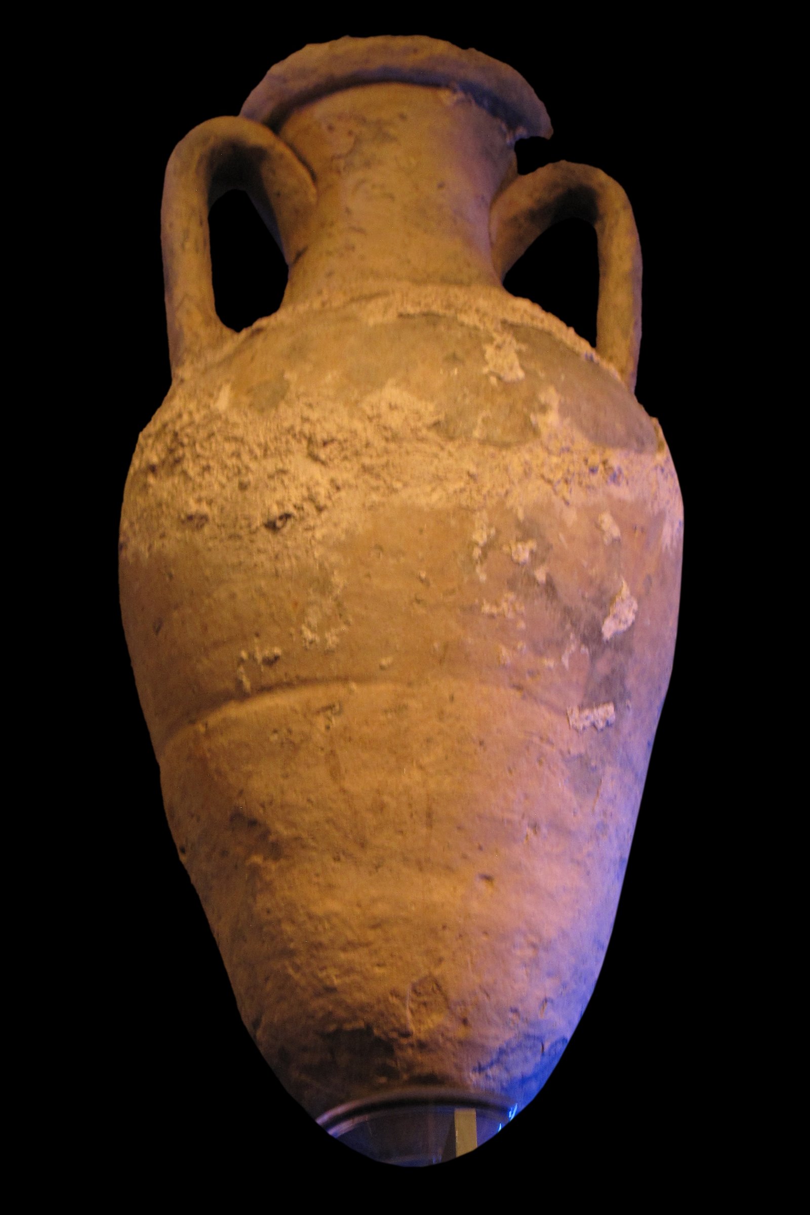 Musée des Docks Romains