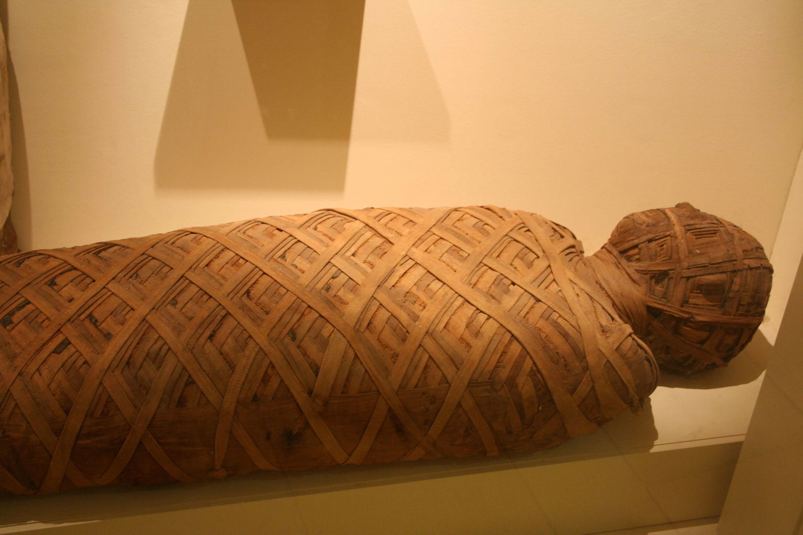 Museum am Rothenbaum – Kulturen und Künste der Welt