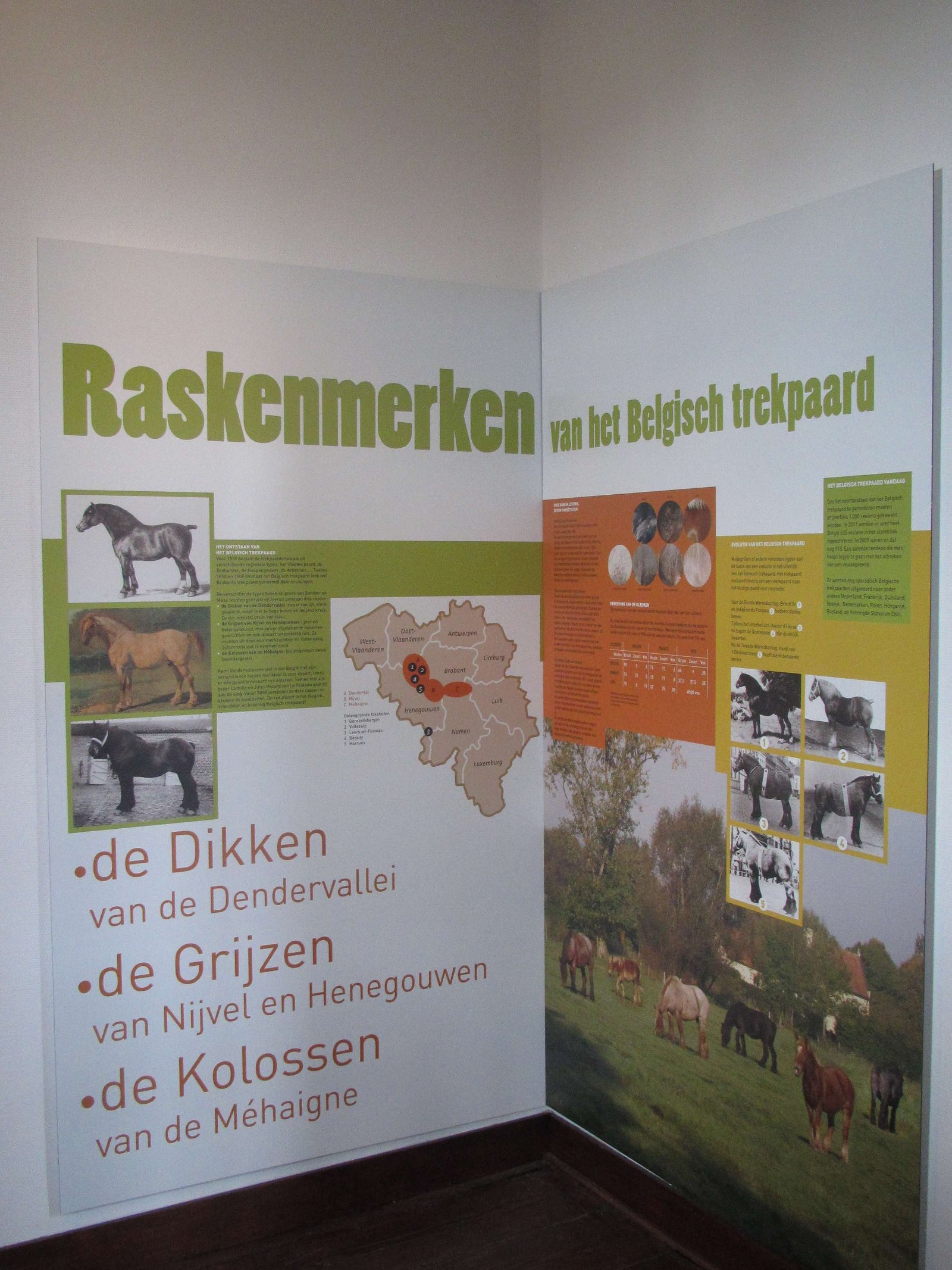 Museum van het Belgisch Trekpaard