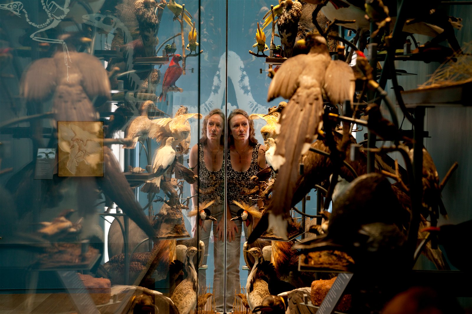 Royal Albert Memorial Museum and Art Gallery