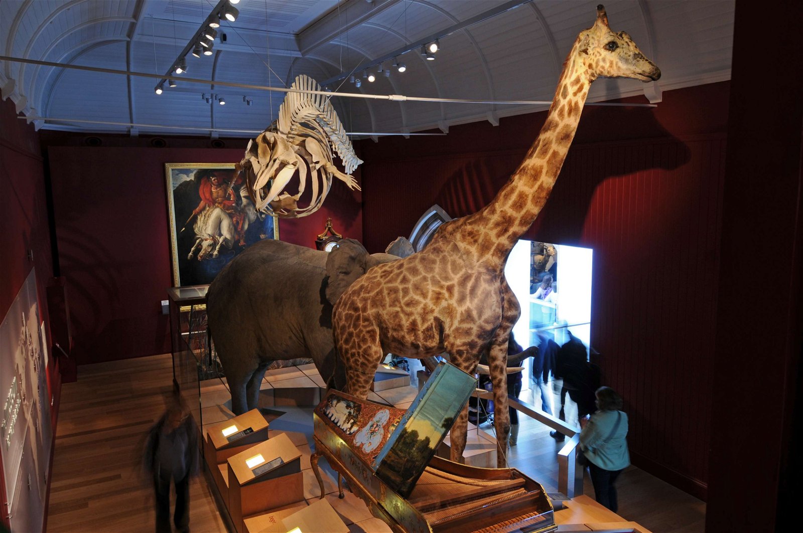 Royal Albert Memorial Museum and Art Gallery