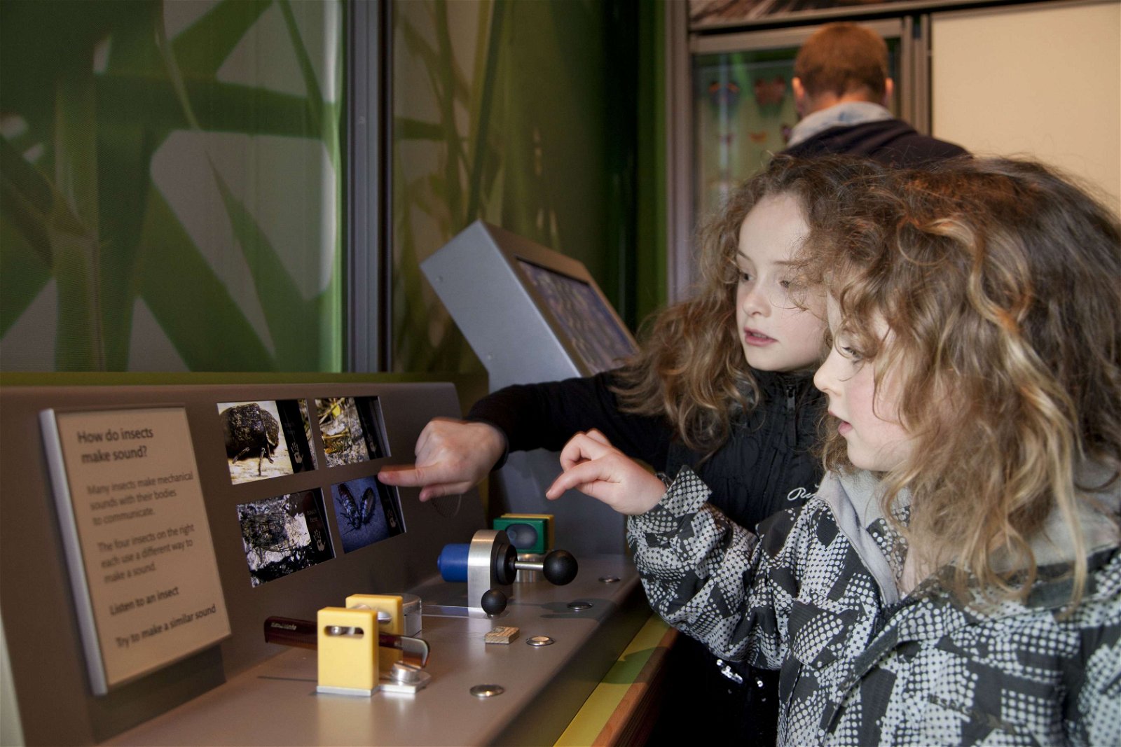 Royal Albert Memorial Museum and Art Gallery