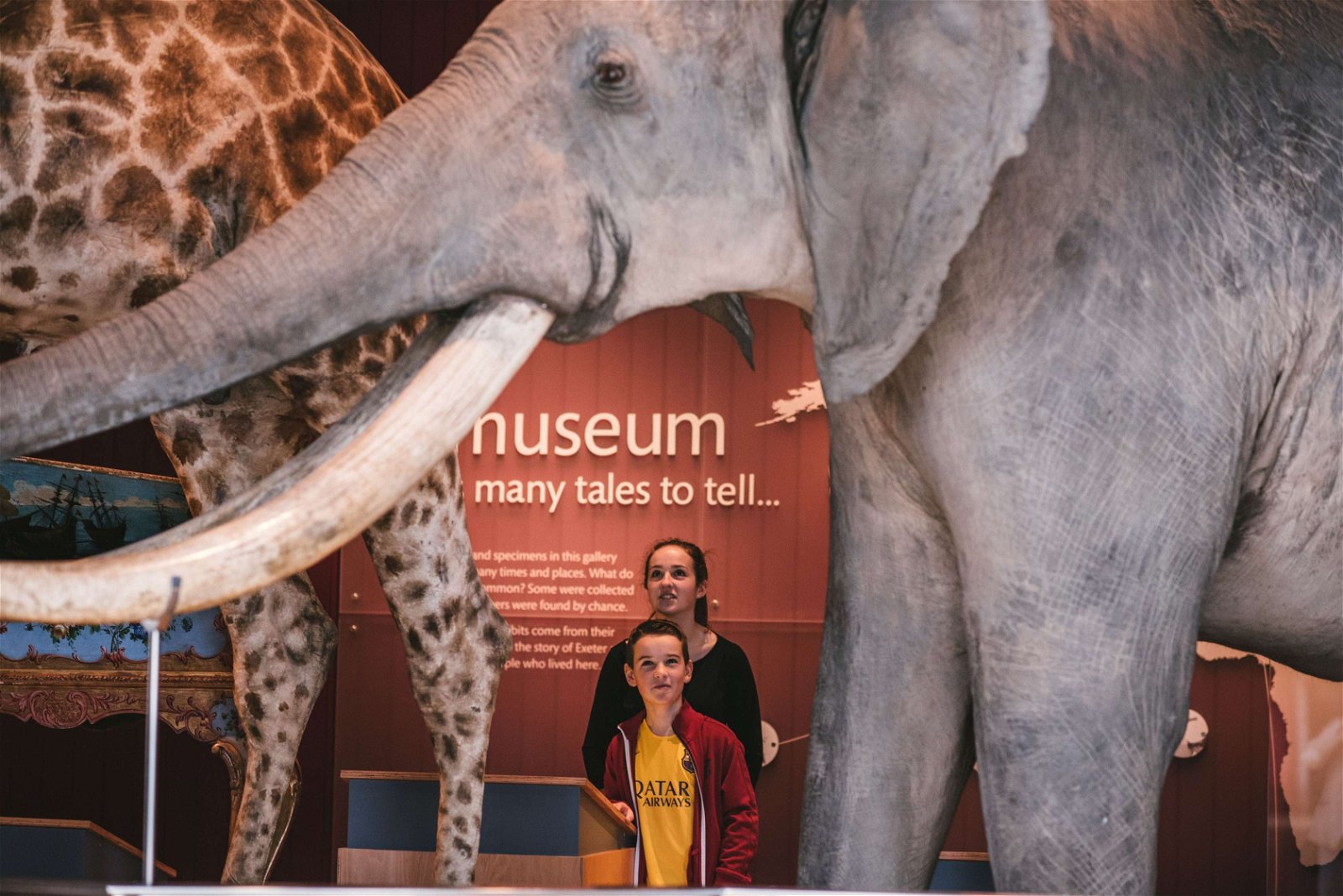 Royal Albert Memorial Museum and Art Gallery