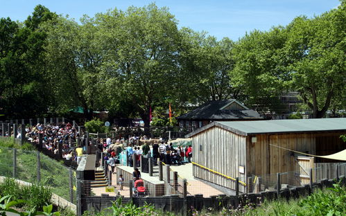 London Zoo