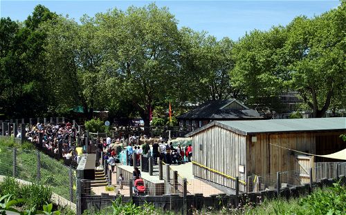 London Zoo