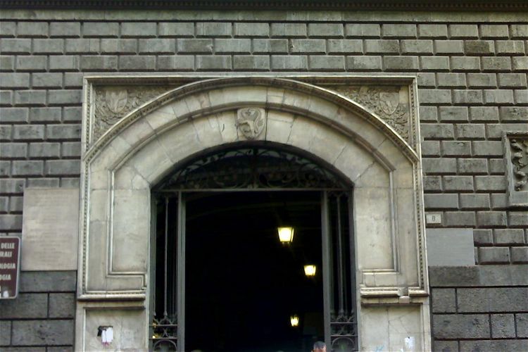 Centro Musei delle Scienze Naturali e Fisiche