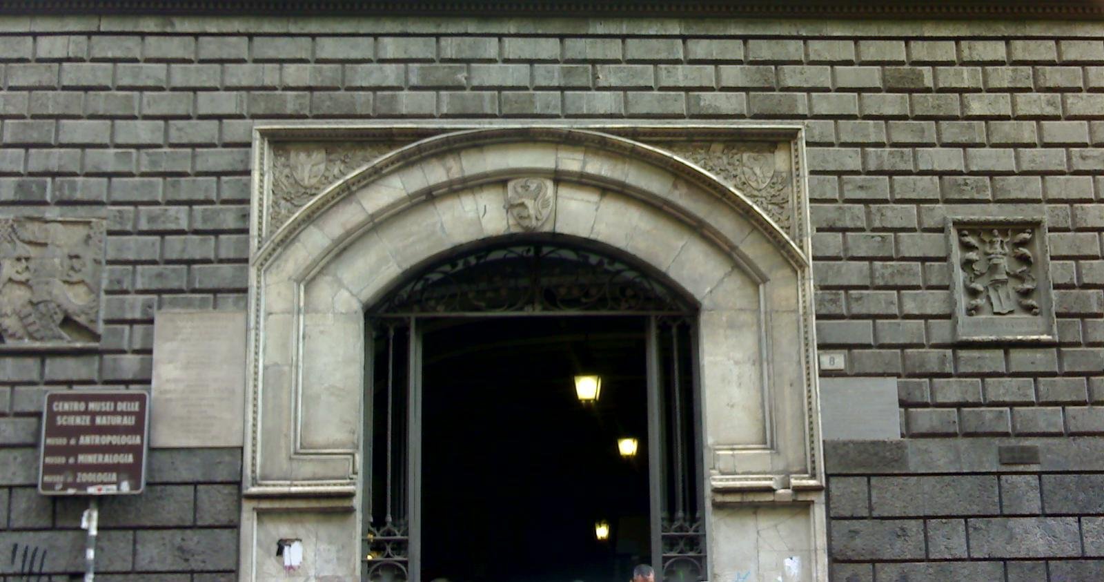 Centro Musei delle Scienze Naturali e Fisiche