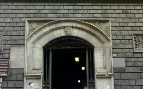 Centro Musei delle Scienze Naturali e Fisiche