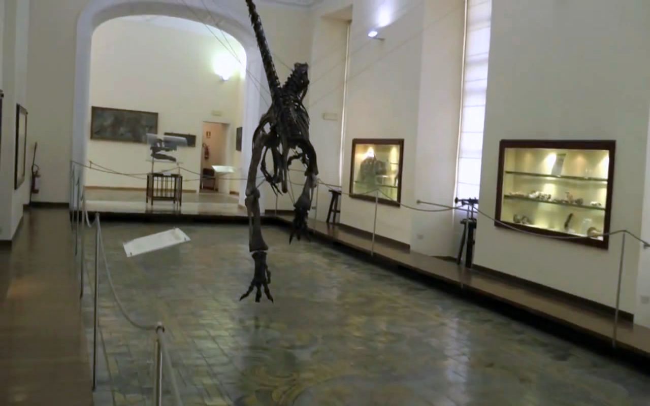 Museo di Paleontologia