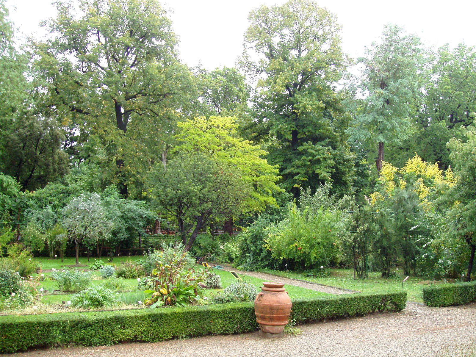 Giarino dei Semplici