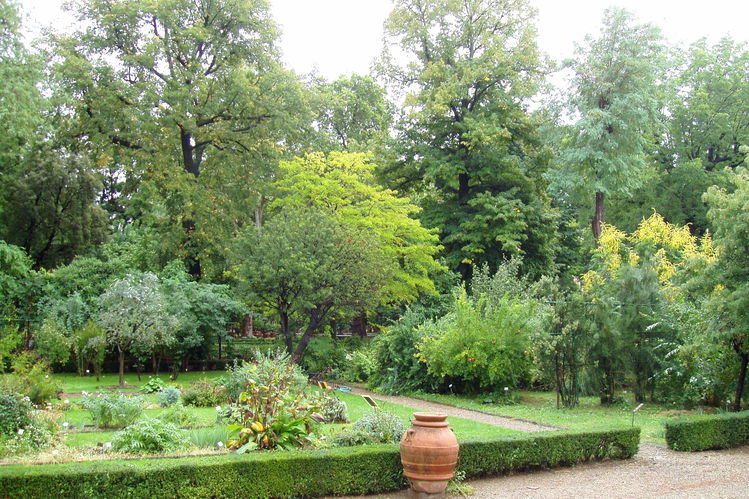 Giarino dei Semplici