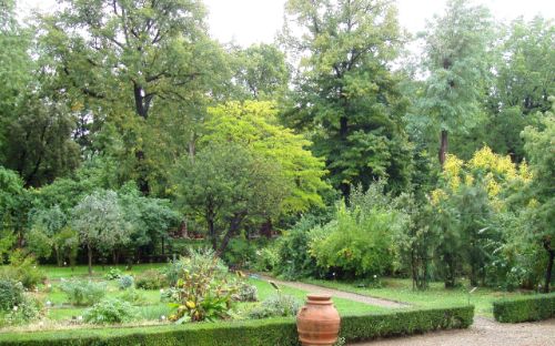 Giarino dei Semplici