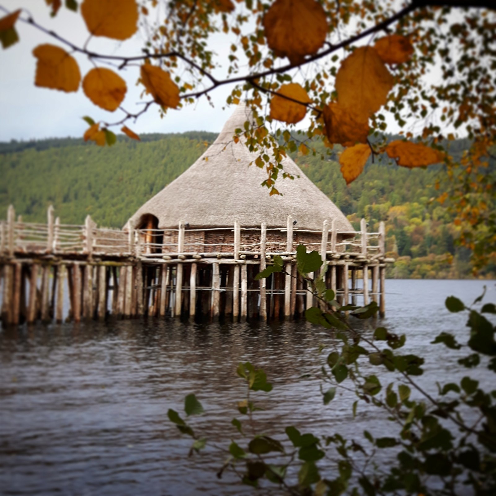 The Scottish Crannog Centre