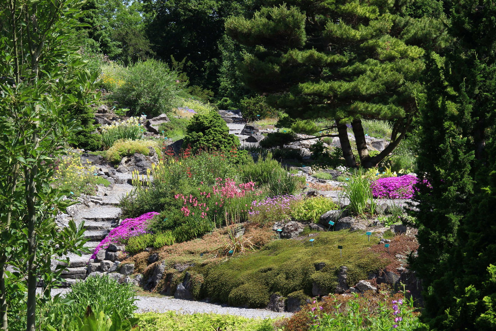 Utrecht Botanic Gardens