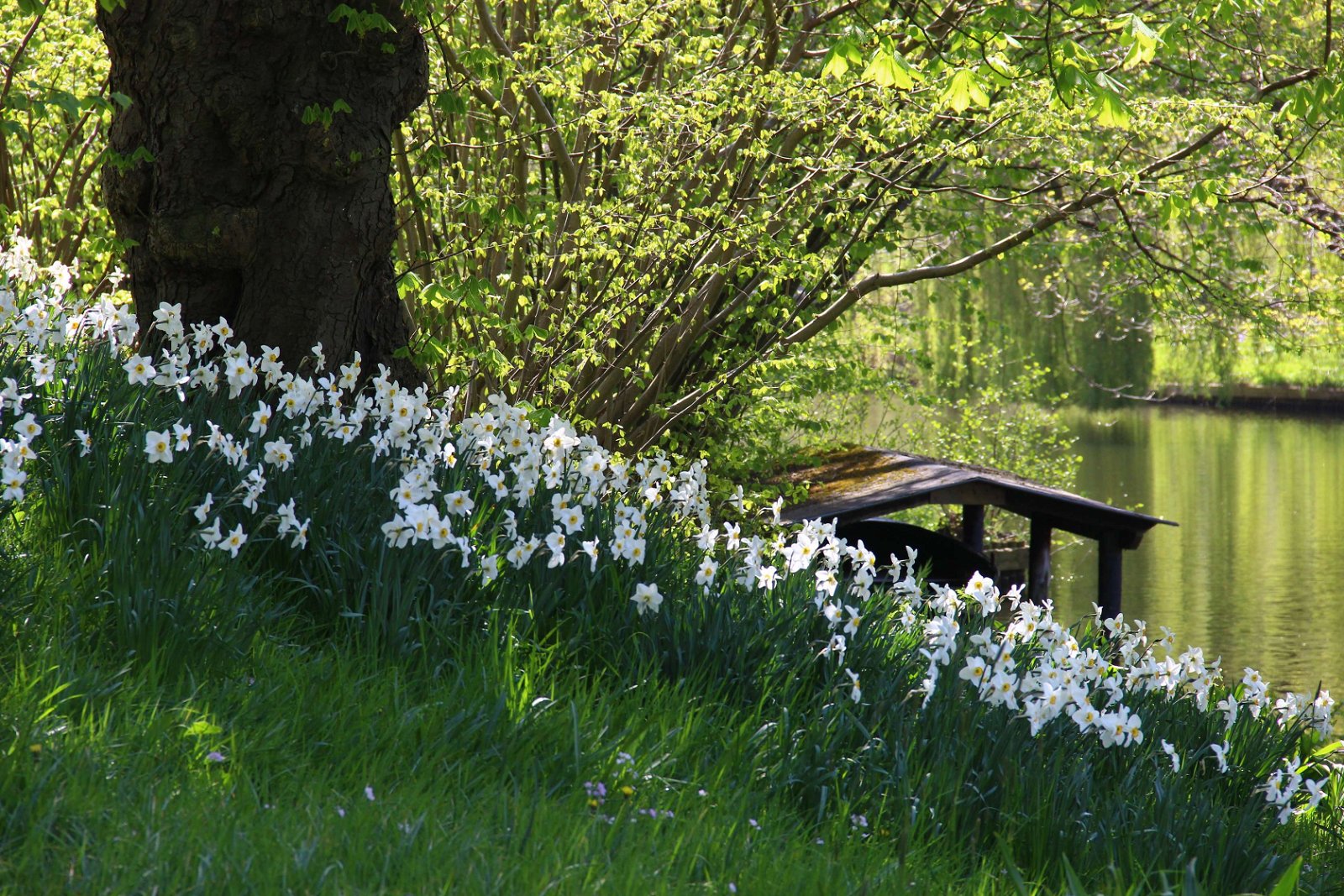Botanische Tuinen Utrecht