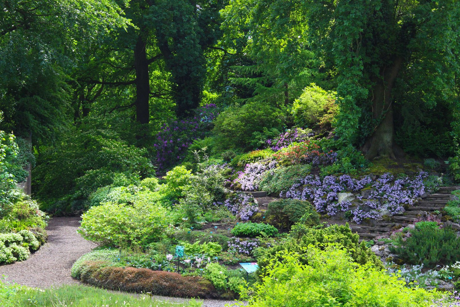 Botanische Tuinen Utrecht (Utrecht) - Visitor Information & Reviews