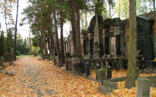 The Museum of Cemetery Art