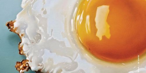 Food! Eten in de kunst en design van nu