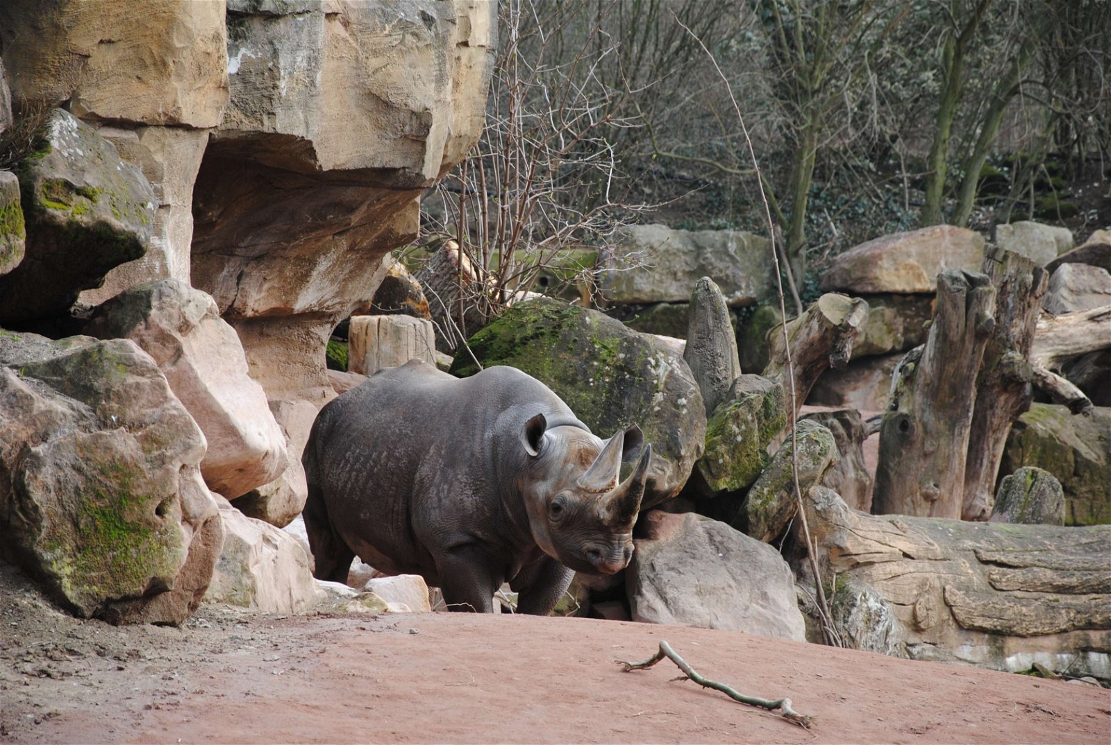 Erlebnis Zoo Hannover