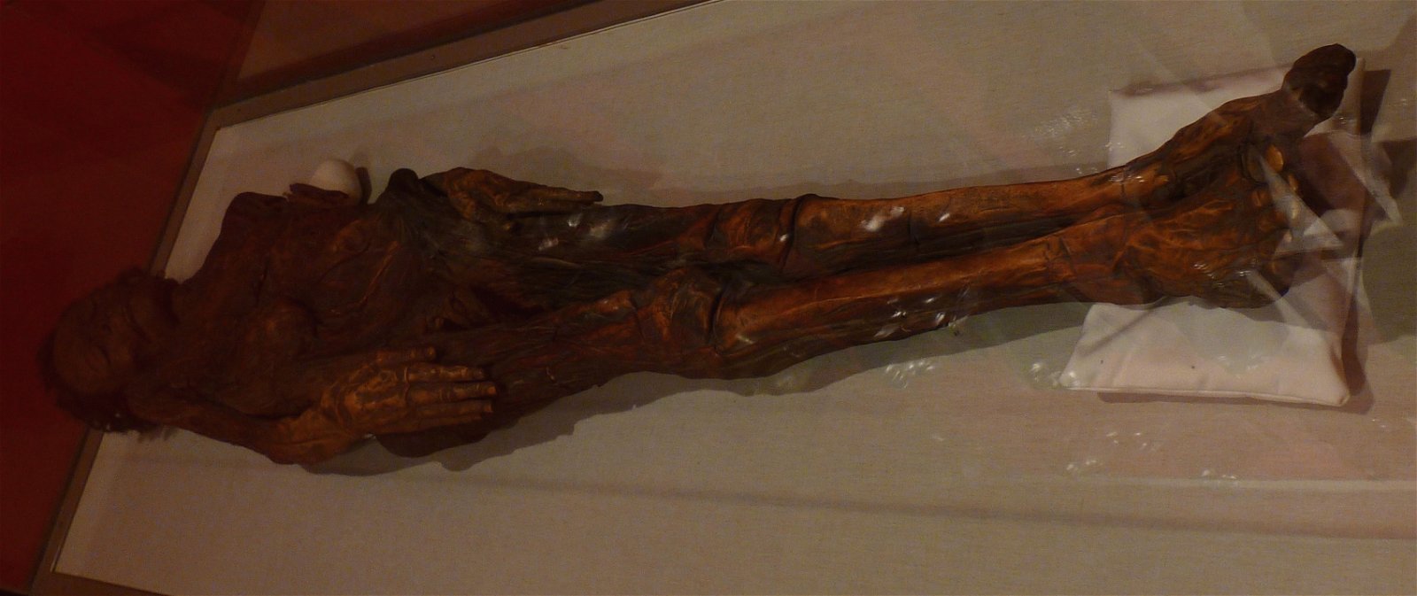 National Museum of Anthropology