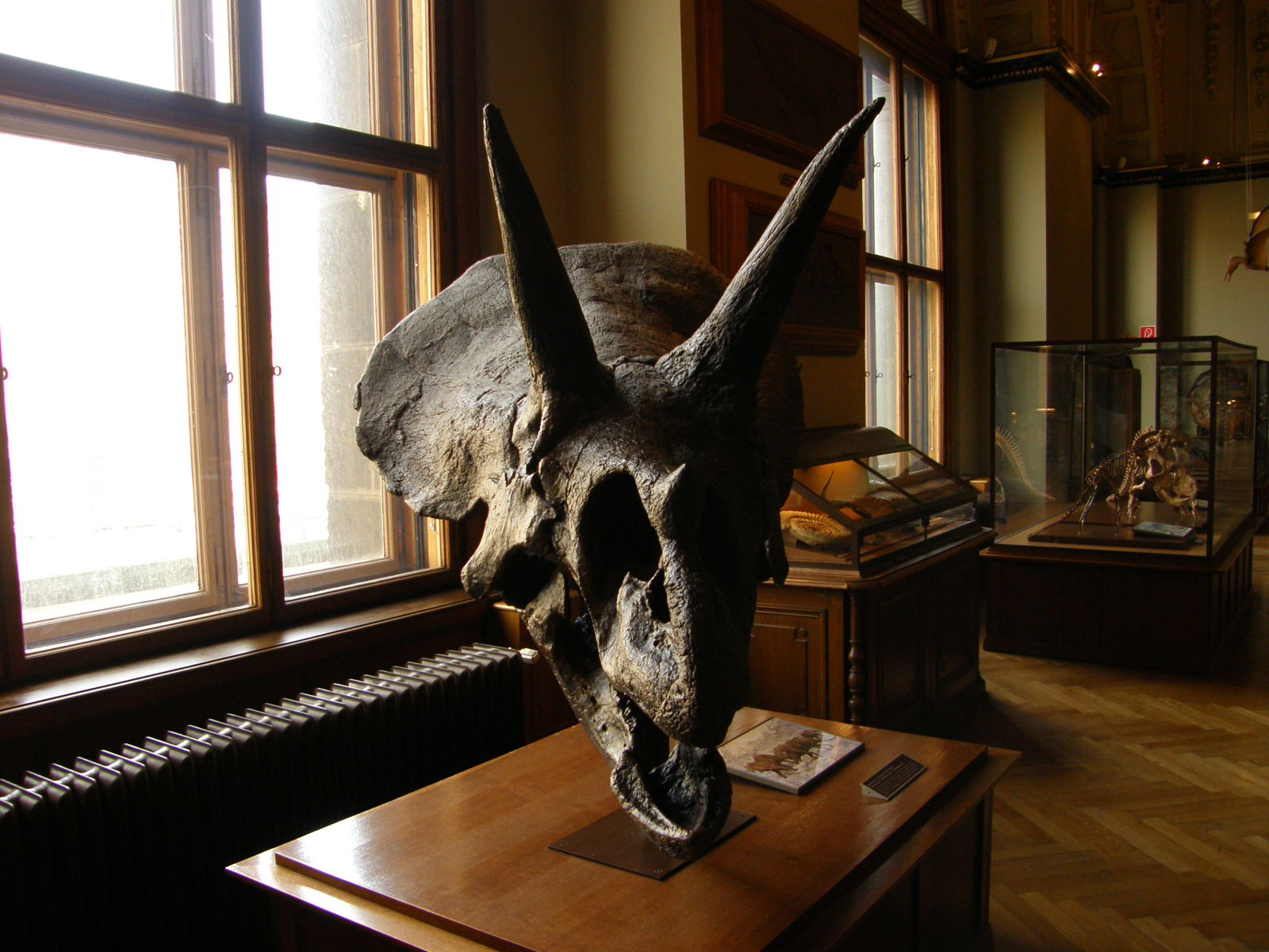 Naturhistorisches Museum