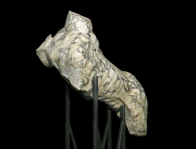 Sorgente Group Foundation