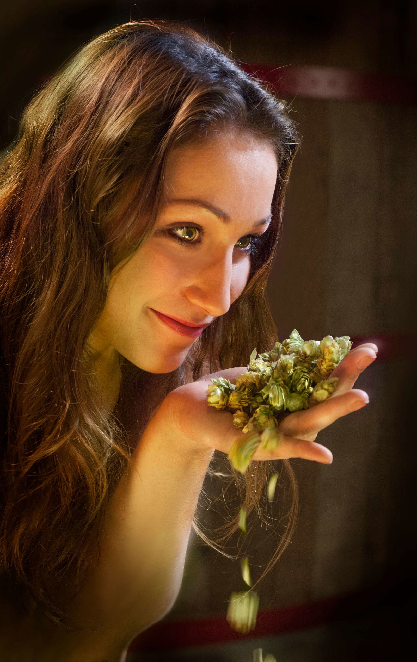 Bruges Beer Experience