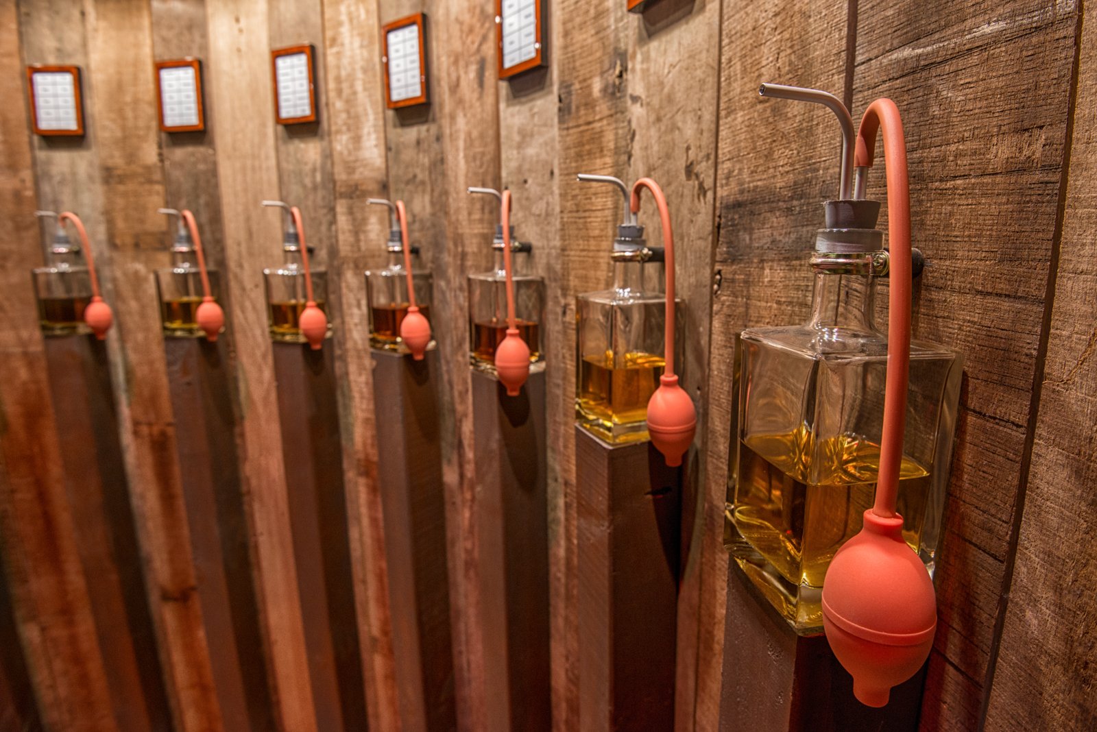 Bruges Beer Experience