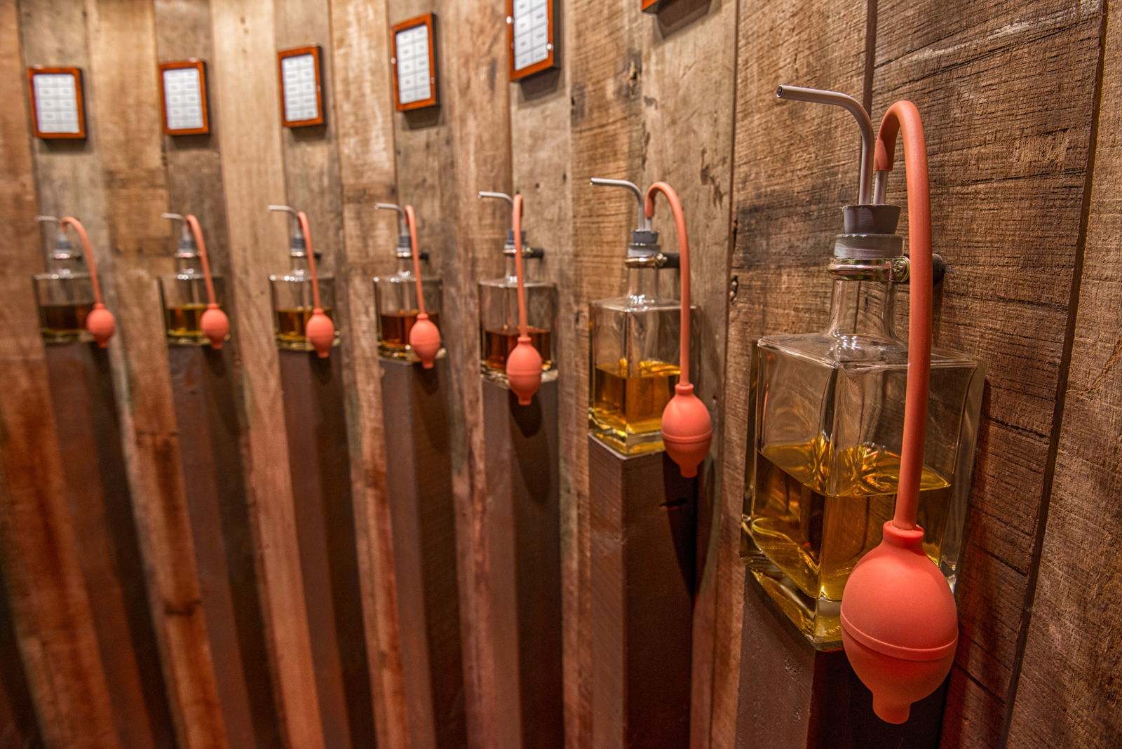 Bruges Beer Experience