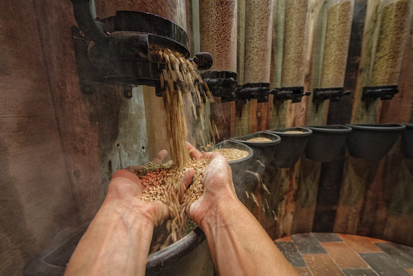 Bruges Beer Experience