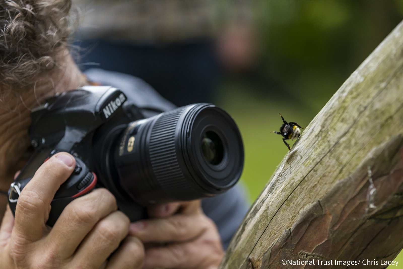 Kent Wildlife Trust Photography Exhibition