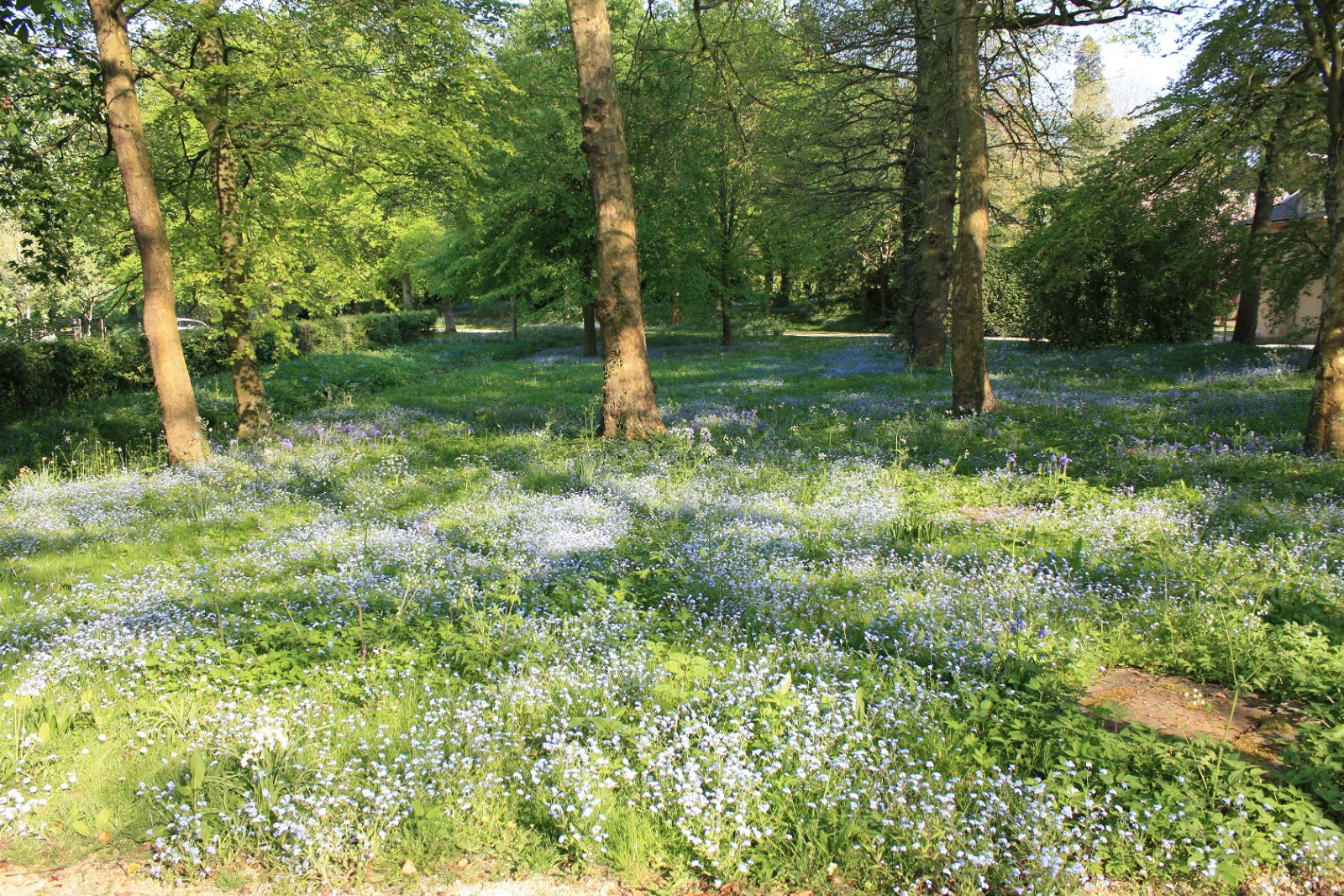 The Faringdon Collection