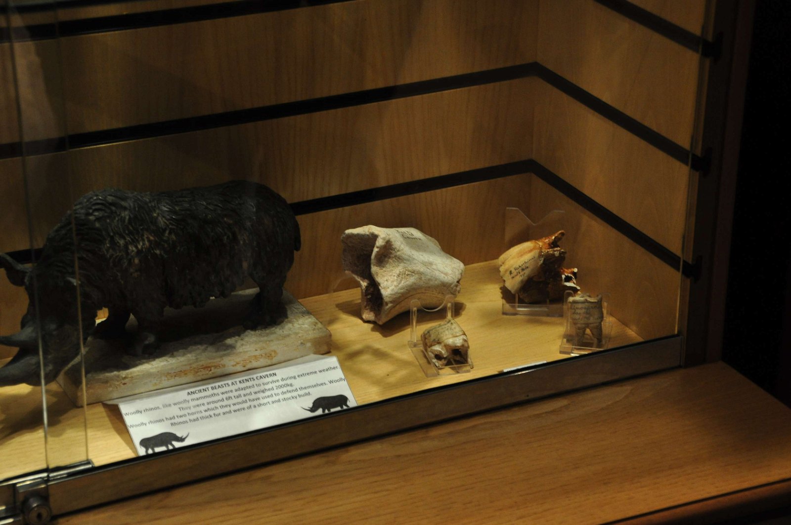 Kents Cavern Prehistoric Caves