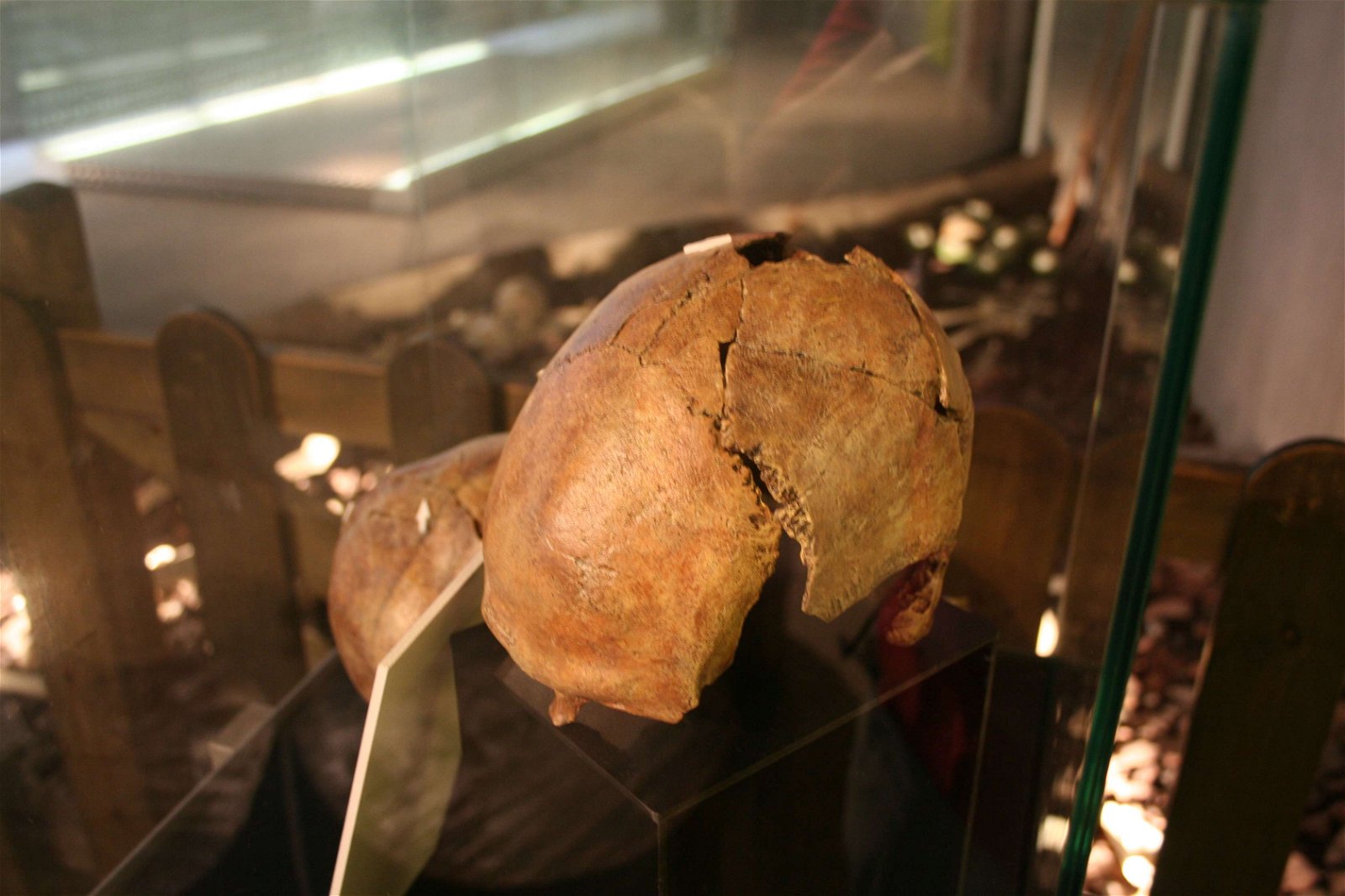 Neanderthal Museum