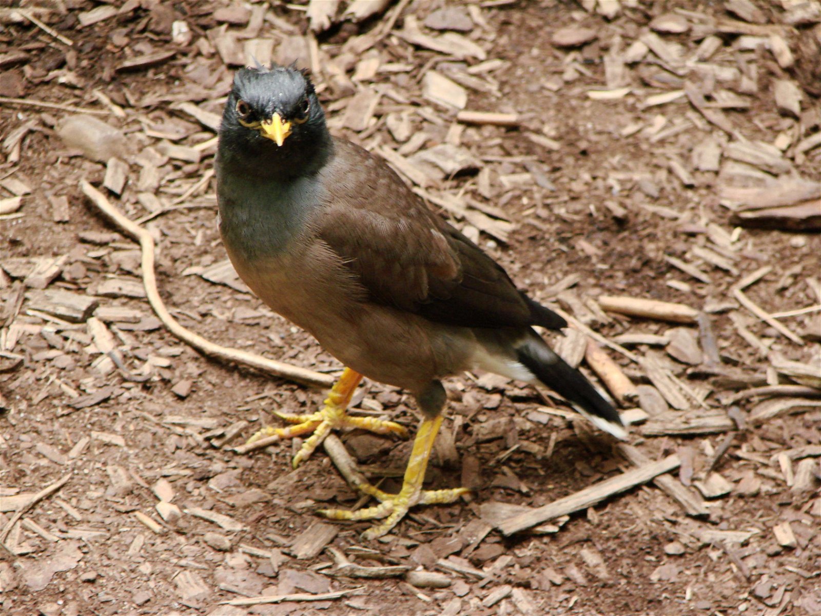 Wroclaw Zoo & Africarium