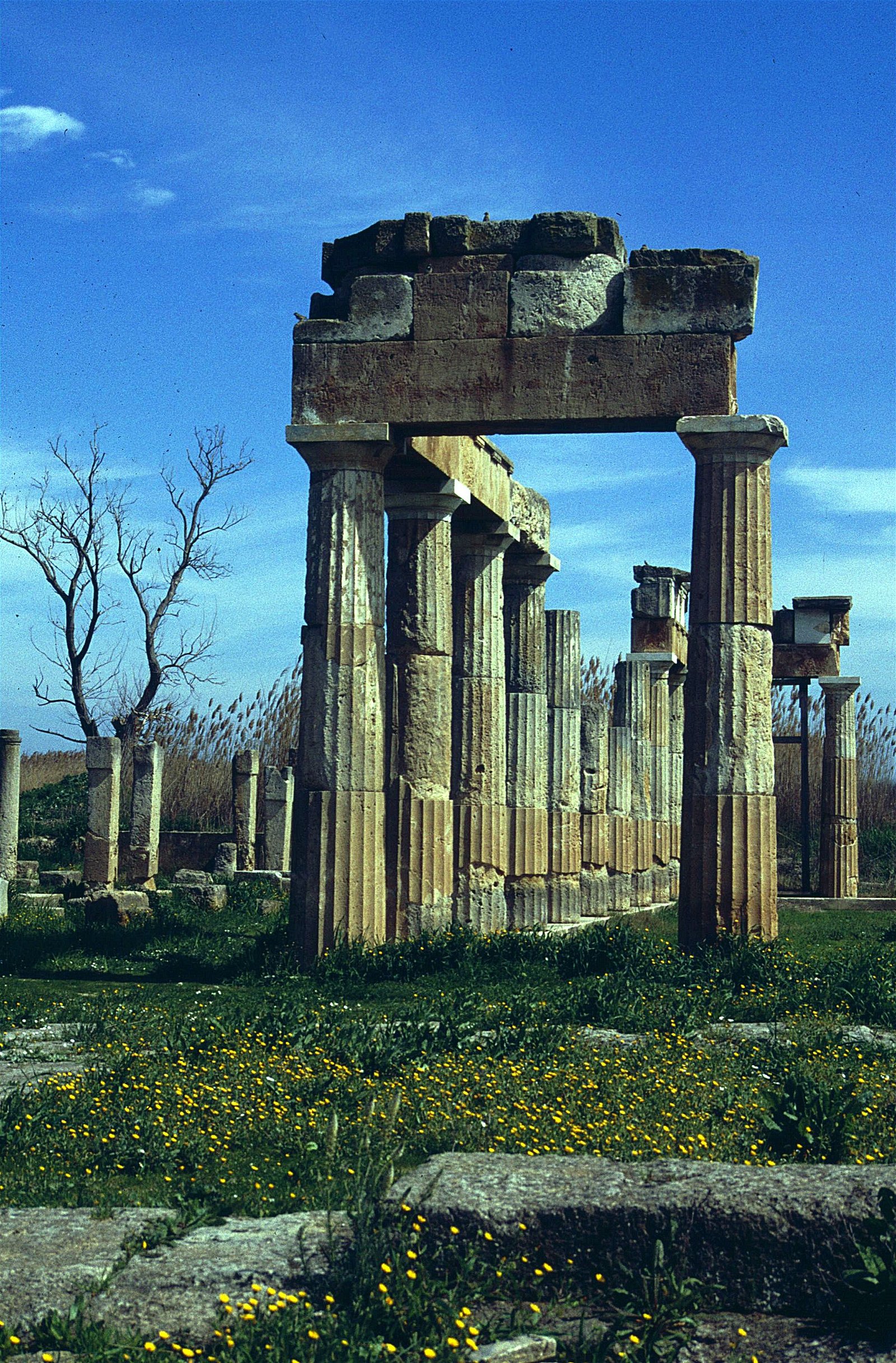 Sanctuary of Artemis at Brauron
