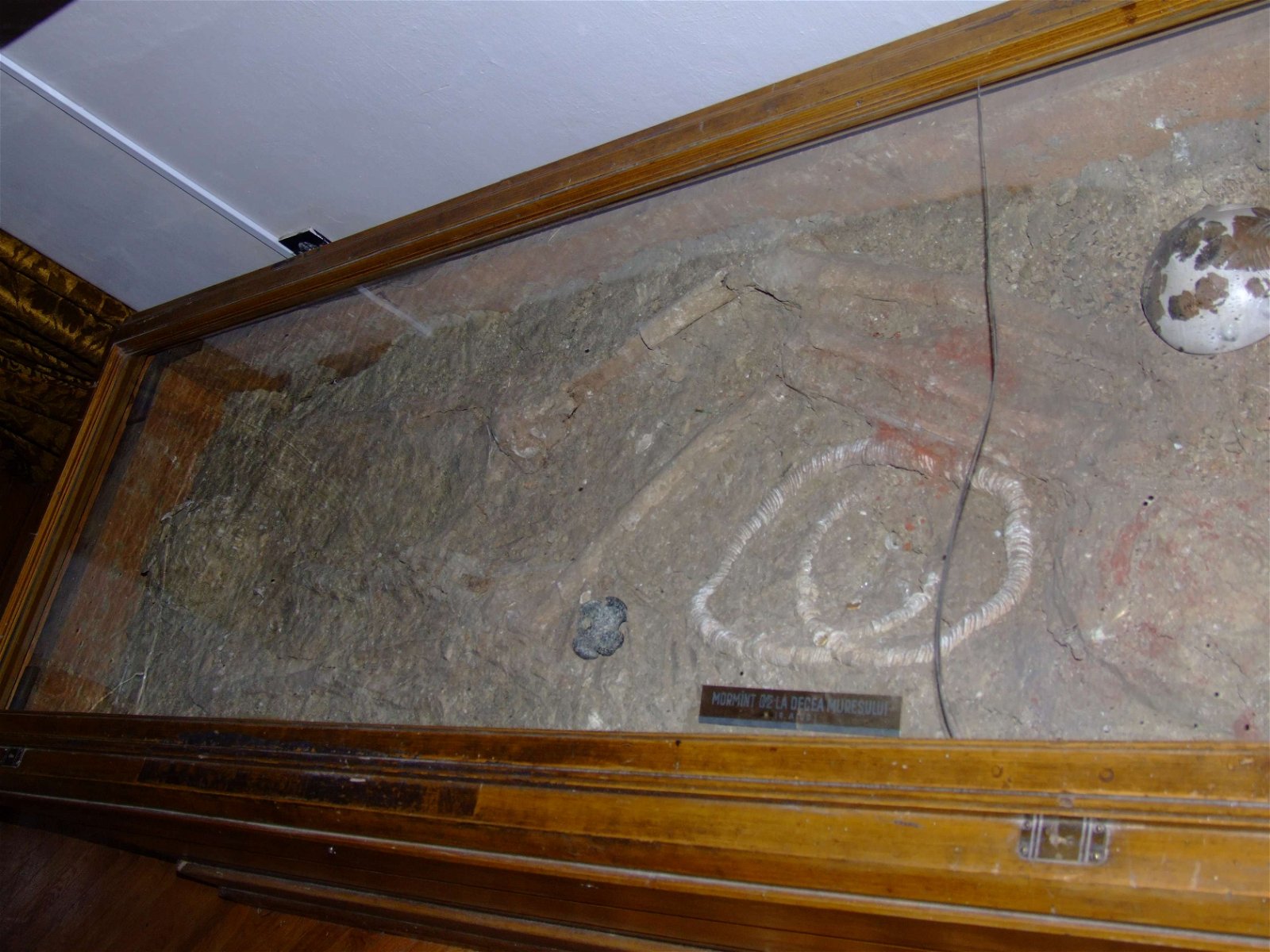 National Museum of Transylvanian History