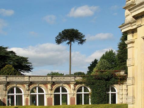 Somerleyton Hall and Gardens