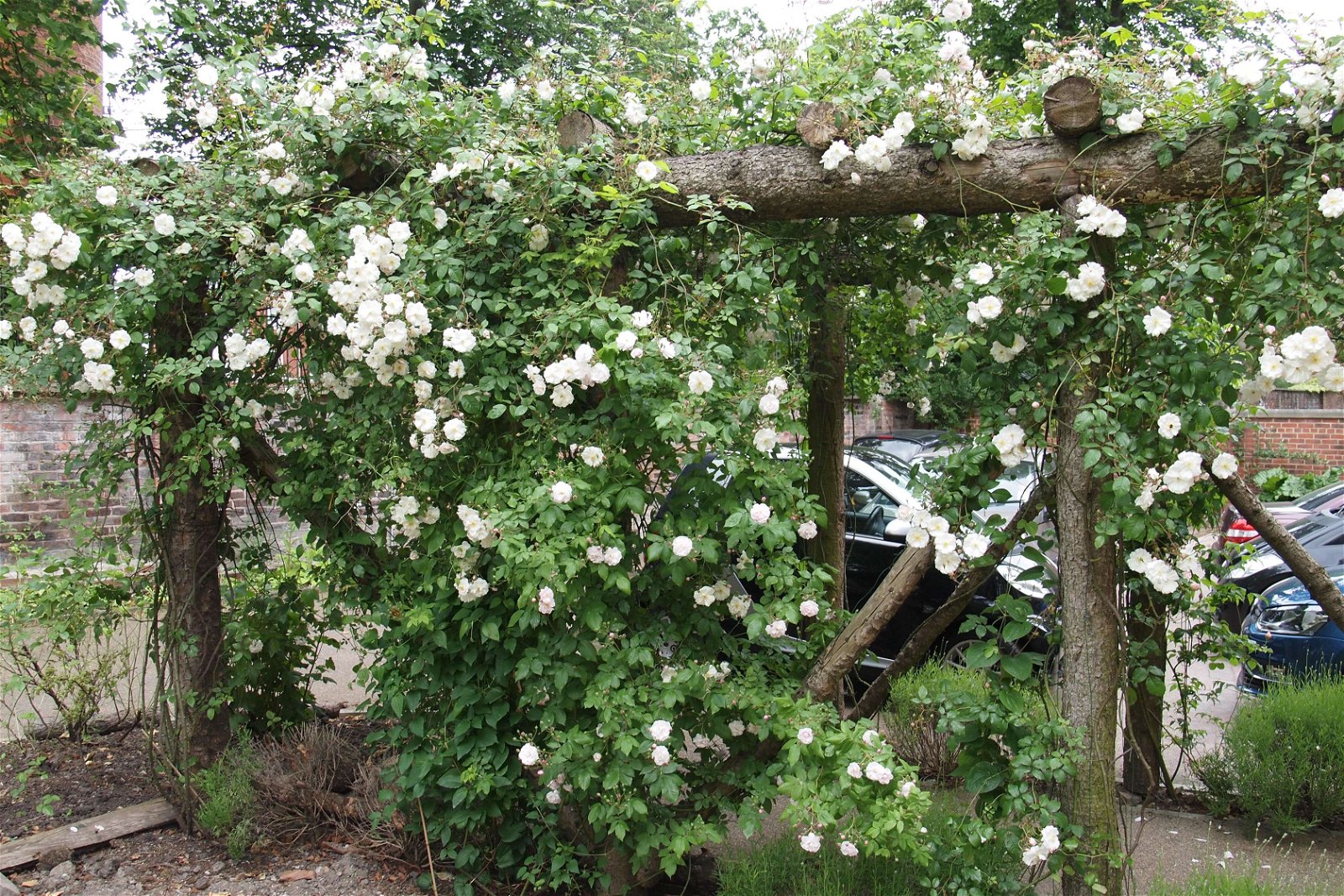 Elizabeth Gaskell's House