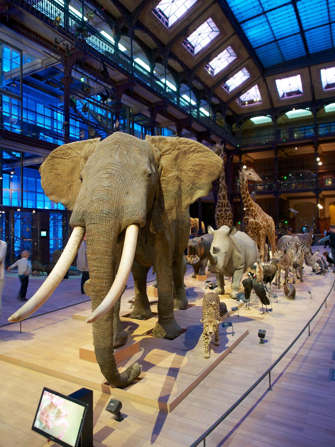 Diorama of animals in Paris' natural history museum