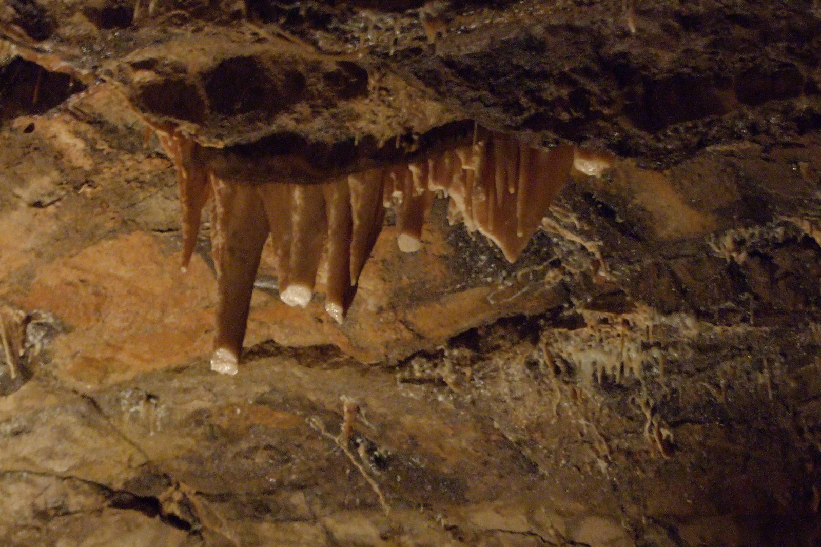 Grottes de Hotton