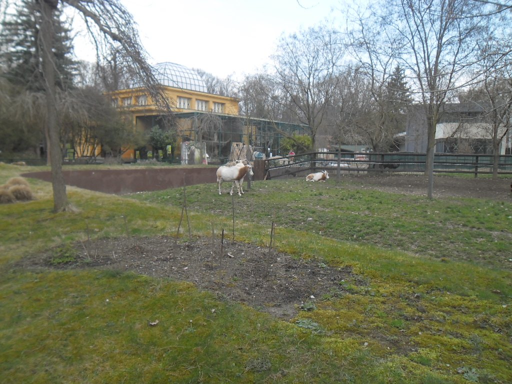 Zagreb Zoo