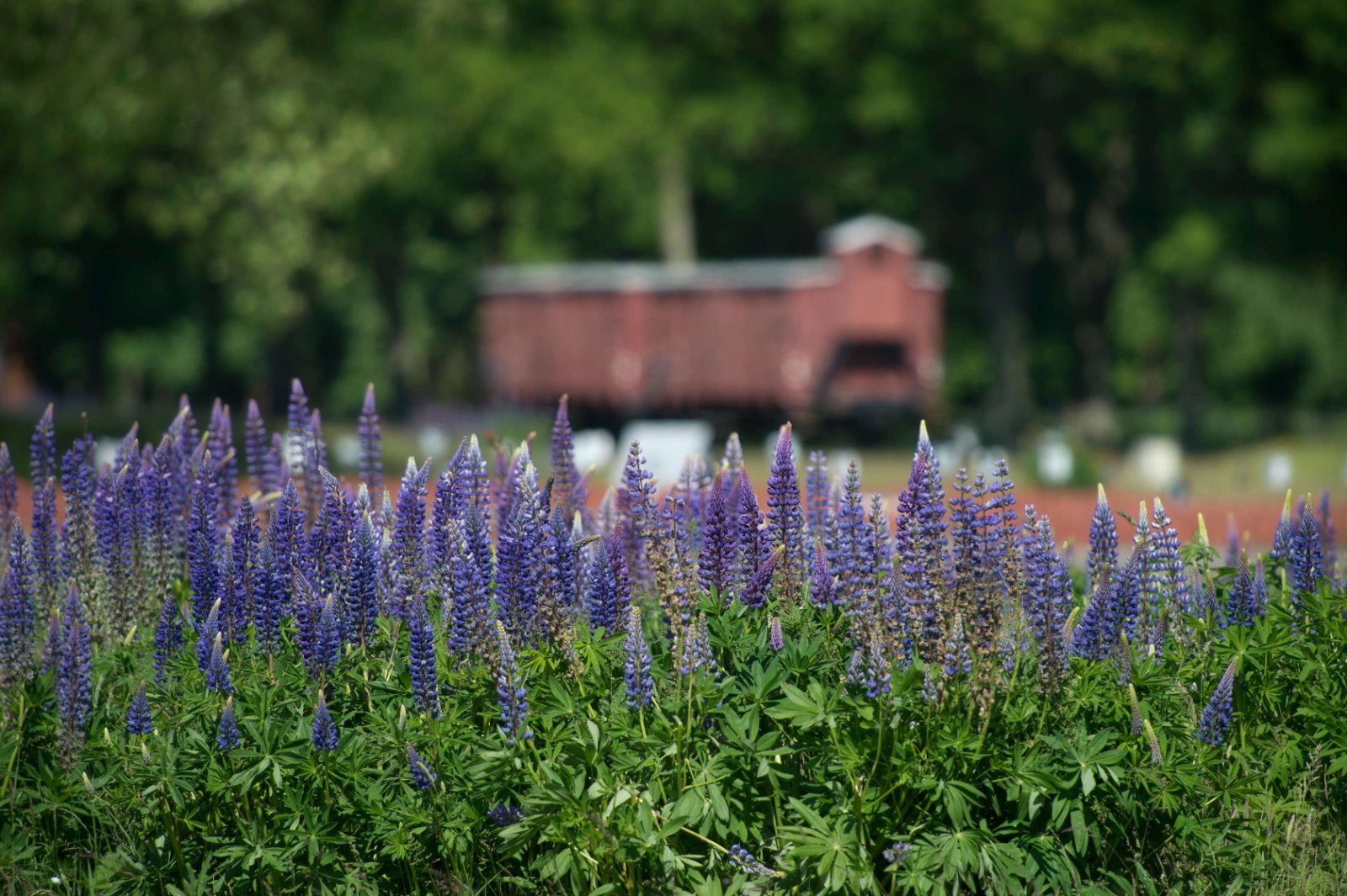 Herinneringscentrum Kamp Westerbork