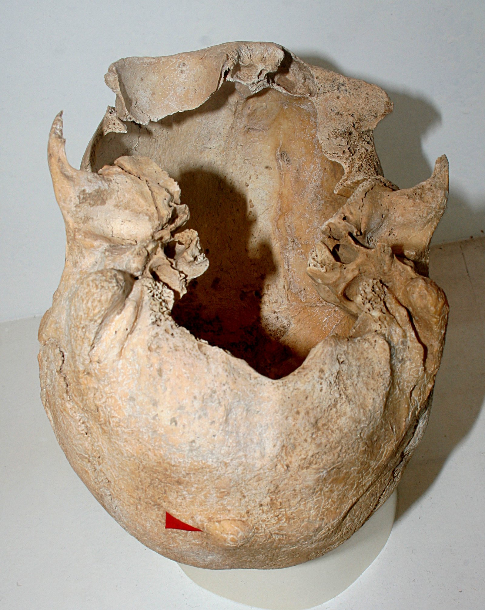 Archeological Museum in Gdańsk