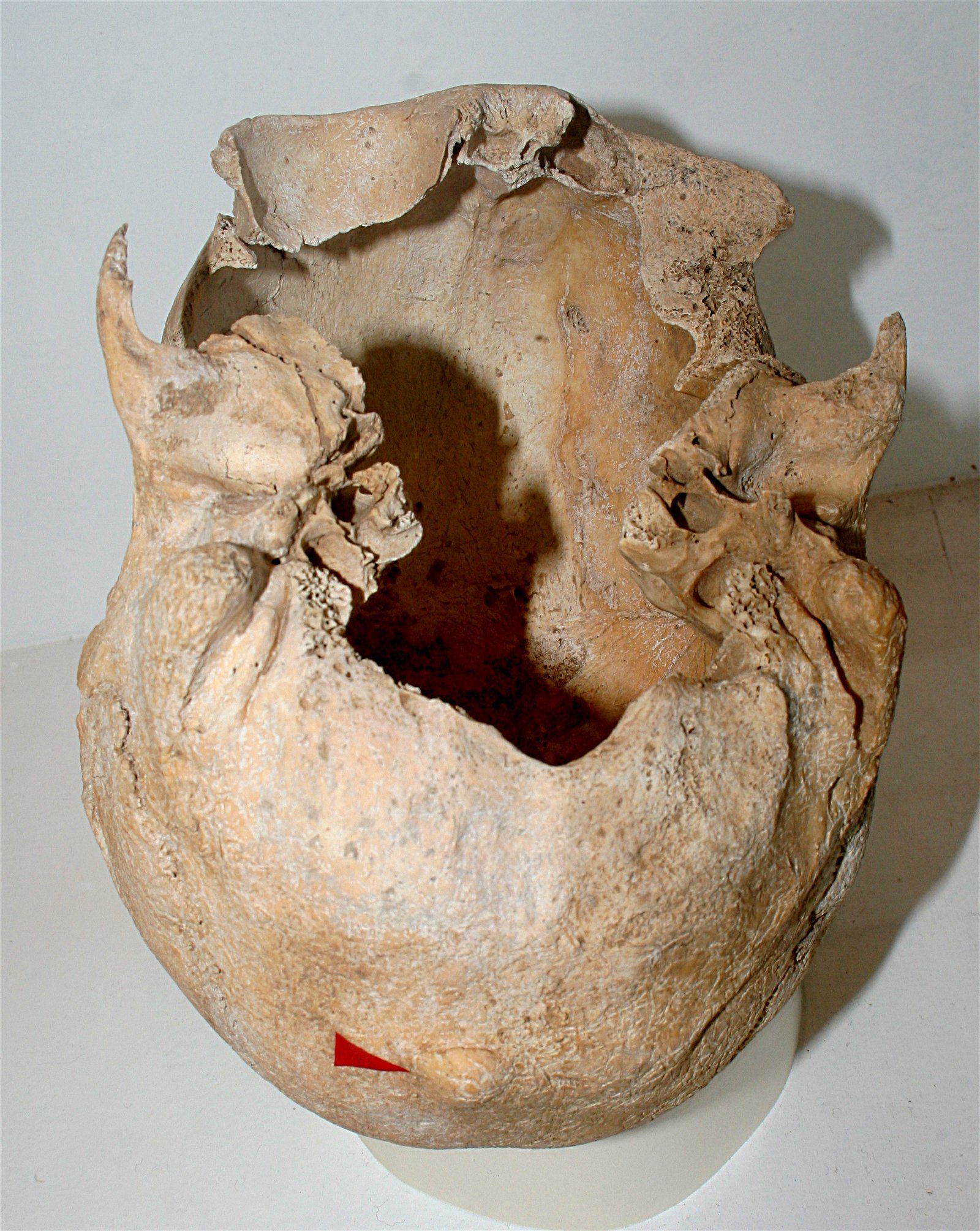 Museum of Archeology