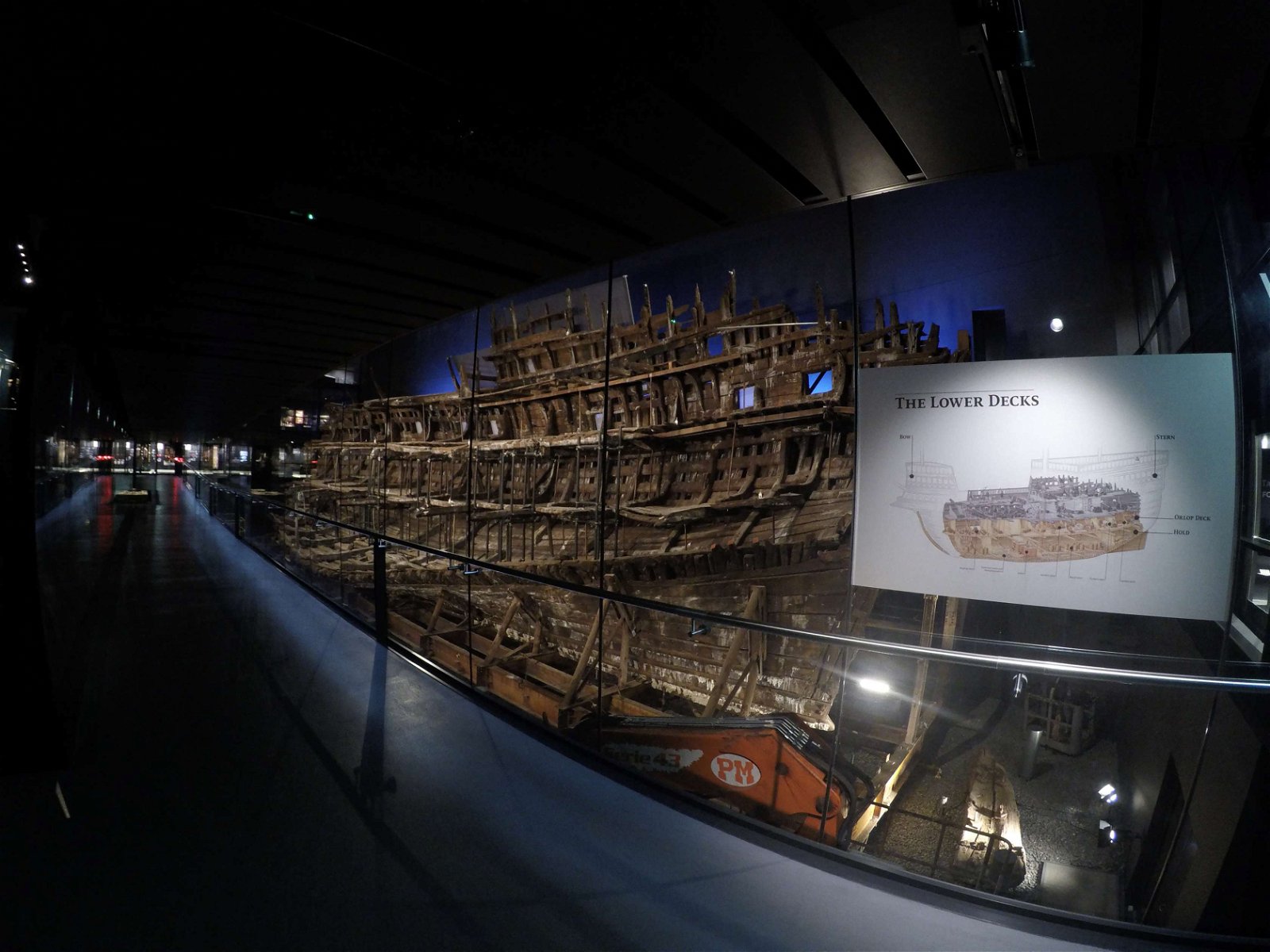 The Mary Rose