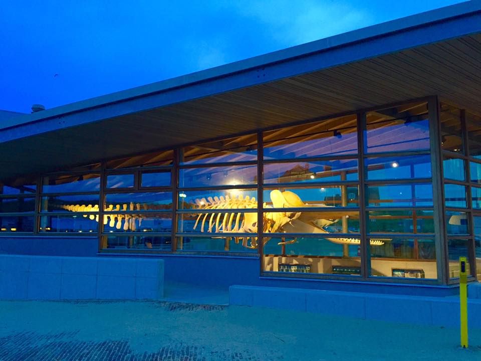 Zee Aquarium Bergen aan Zee (Bergen