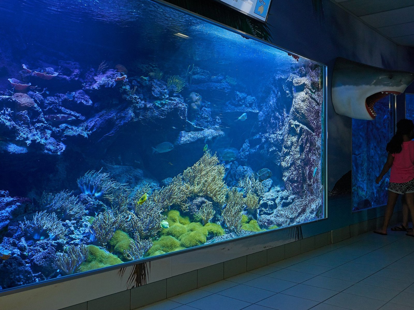 Sea Aquarium Bergen aan Zee