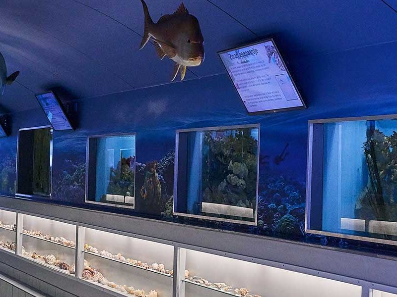 Sea Aquarium Bergen aan Zee